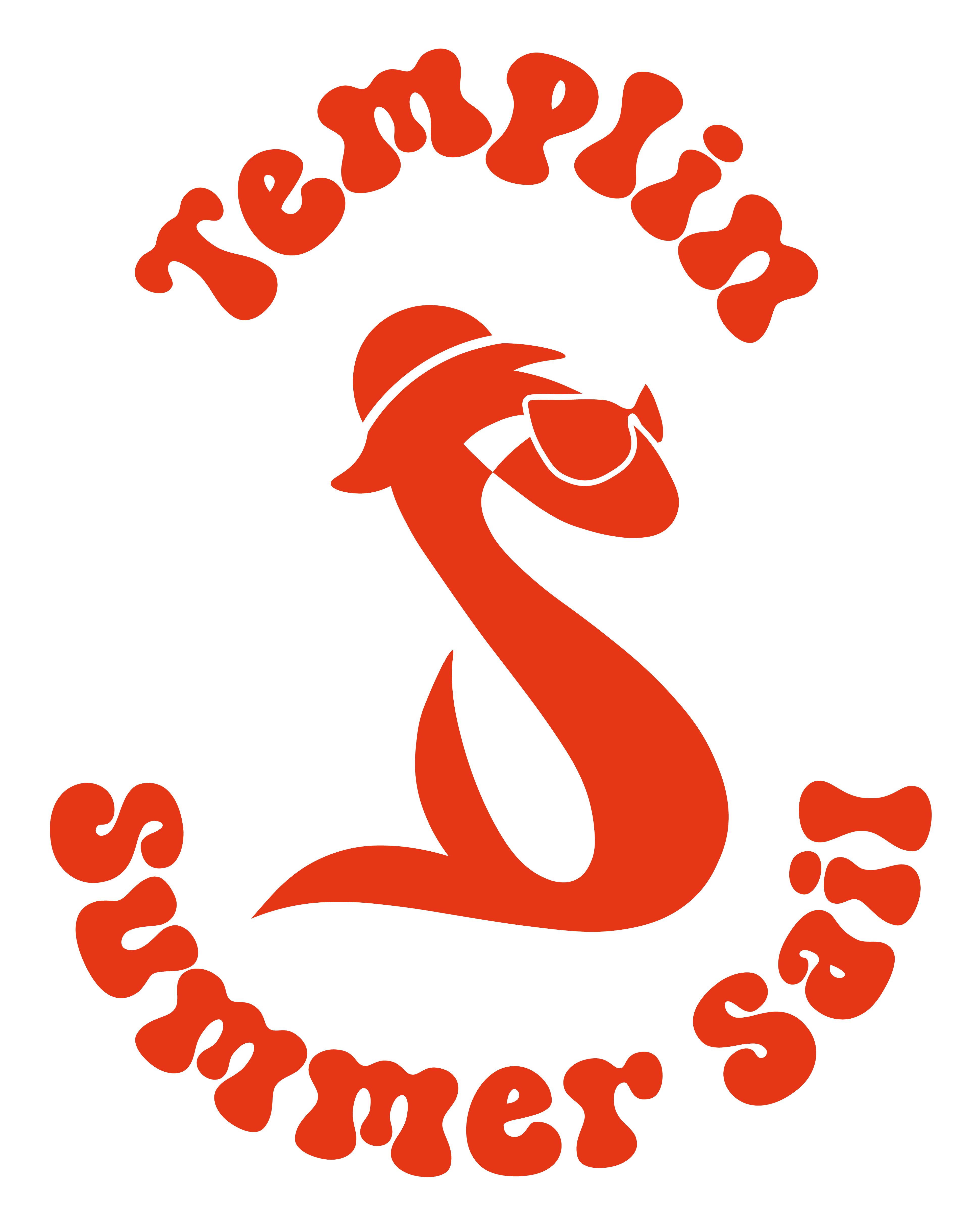 seggerling logo krone